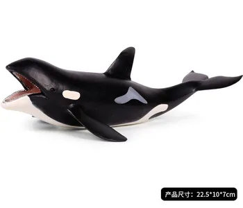 Grande Assassino De Baleias Orca Orca Figura Em Miniatura De Animais Do Mar De Modelo De Simulação De Animais Marinhos Peixes Modelo Dom Crianças Brinquedo Decoração