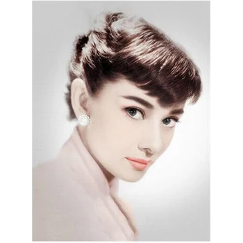 5D Diy Completo broca de Diamante Pintura da Figura de Audrey Hepburn Diamante Bordado de Ponto de Cruz Strass imagem Mosaico WG1205